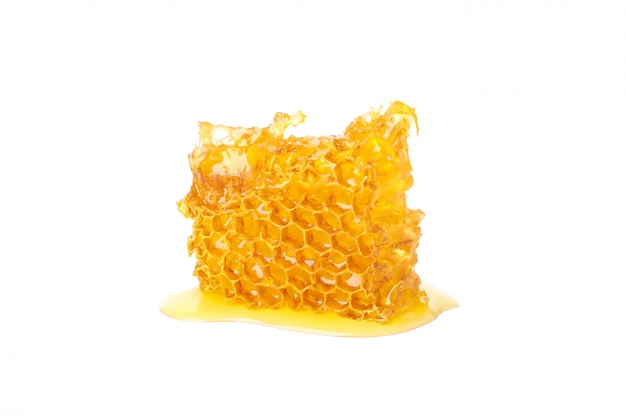 Fresh honeycomb piece isolated on white background