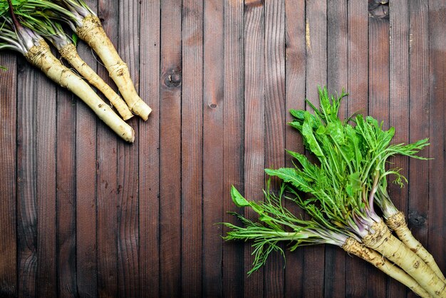 Fresh horseradish In brown Wooden table Top view