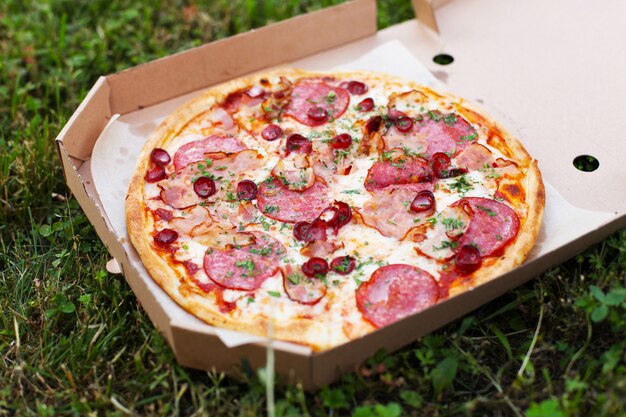 Pizza calda fresca con salsa di pomodoro e pancetta a un picnic