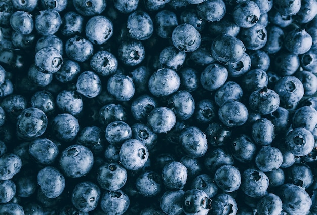 Fresh huckleberry full frame food background The concept of healthy food and summer eating