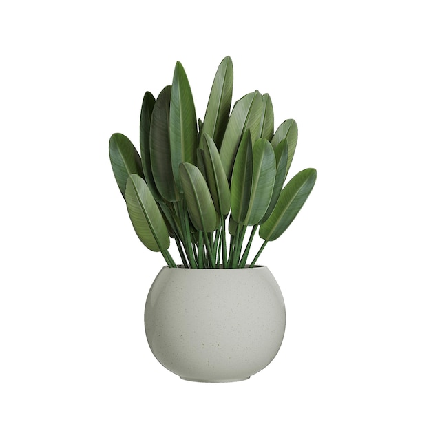 fresh impressions greenery on a white background