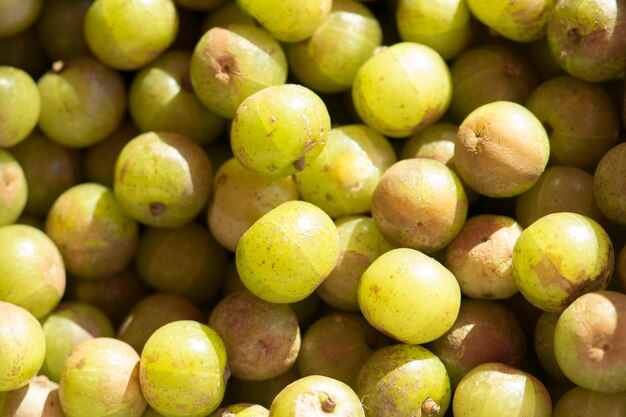 Fresh Indian gooseberry in market