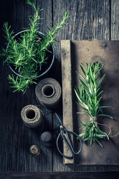 Fresh and intensive rosemary in a rustic kitchen