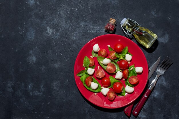 Fresh italian caprese salad with mozzarella and tomatoes on red plate