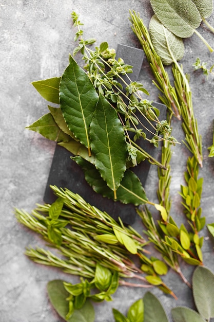 Fresh italian herbs on dark background. Variety of herbs, basil, rosemary, myrtle, laurel