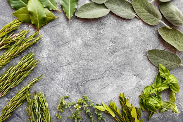 Photo fresh italian herbs on dark background. variety of herbs, basil, rosemary, myrtle, laurel