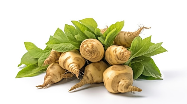 Photo fresh jerusalem artichoke on a white background