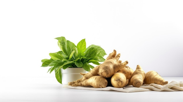 Fresh jerusalem artichoke on a white background