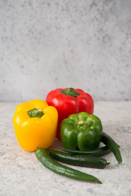 Fresh juicy bell peppers on a gray, copy space