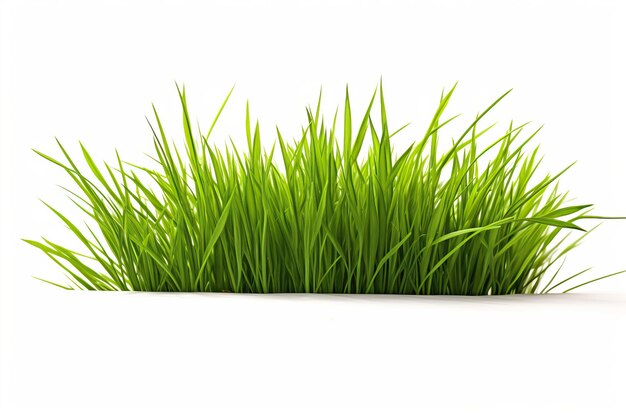 Photo fresh juicy grass isolated on white background