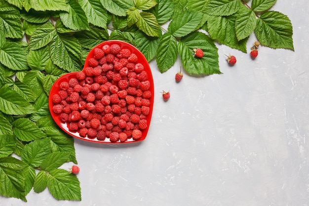 Fresh juicy raspberries on red heart shaped plate and pattern of raspberry leaves. 