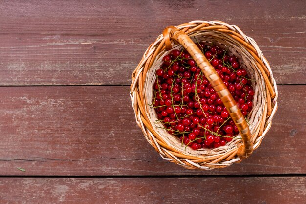 Fresh juicy red currant berries in a wicker basket.