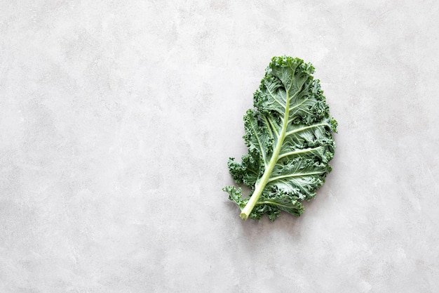 Fresh kale curly leaves superfood