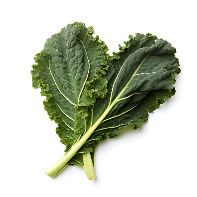 fresh kale leaf on white background