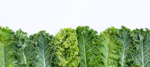 Fresh kale leaves salad vegetable on white.