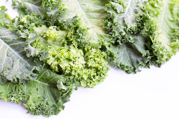 Fresh kale leaves salad vegetable on white.