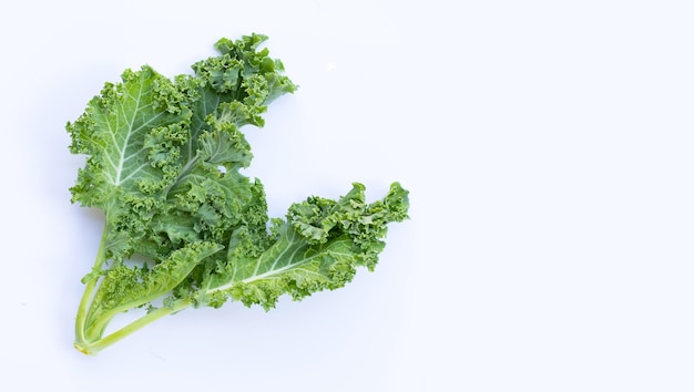 Fresh kale leaves salad vegetable
