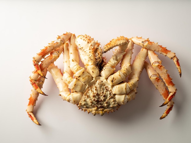 Fresh king crab on white background