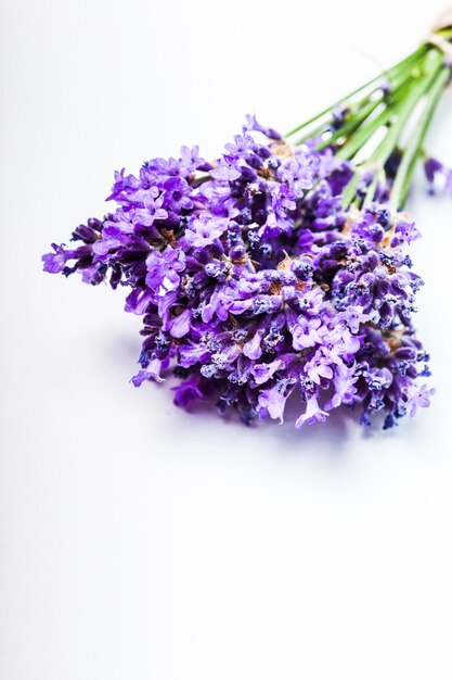 Bouquet of Dry Lavender Flowers and Sachets Filled with Lavender Stock  Image - Image of bouquet, lavender: 84607467