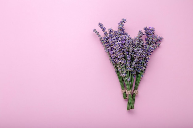 コピースペースと色の背景に新鮮なラベンダーの花の花束。テキストの場所。 Flatlay紫色のハーブの花の花。ラベンダーアロマテラピー。ピンクの背景。