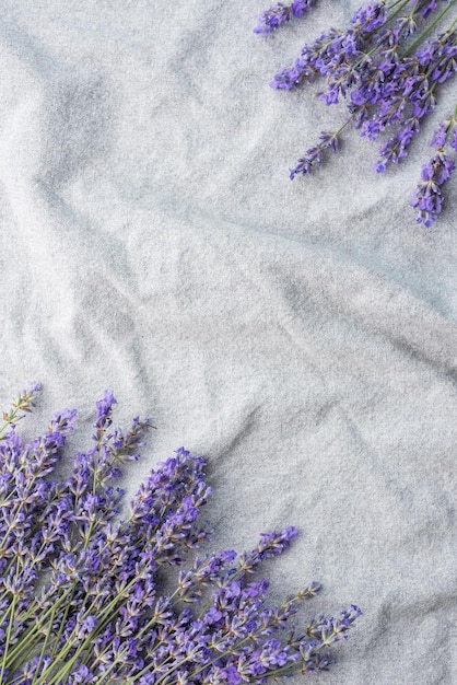 Foto fiori di lavanda freschi su uno sfondo di tessuto spazio di copia