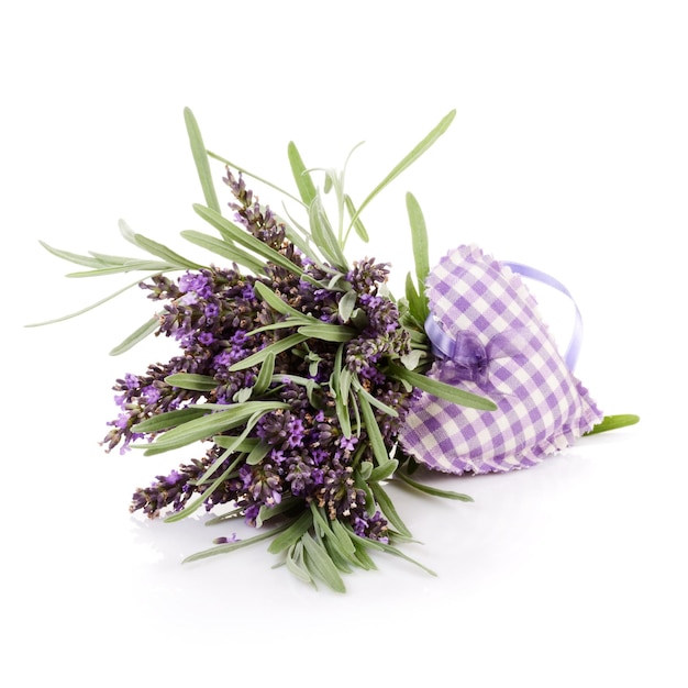 Fresh lavender flowers and fabric heart on white background