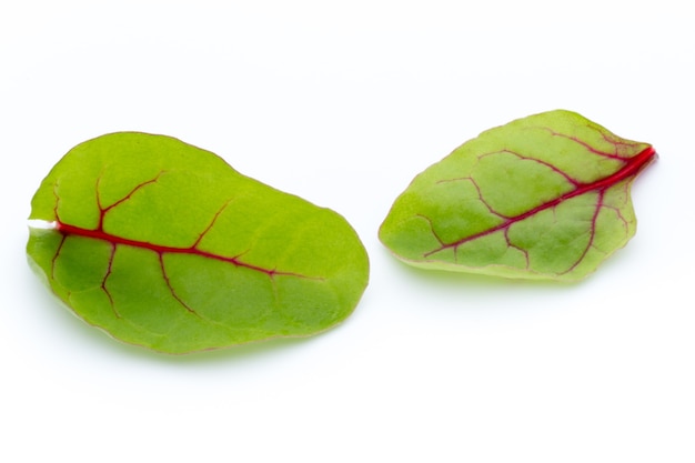 Photo fresh leaf beet root isolated on white background.