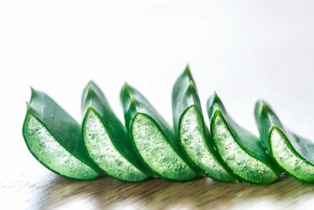 Photo fresh leaves of aloe vera