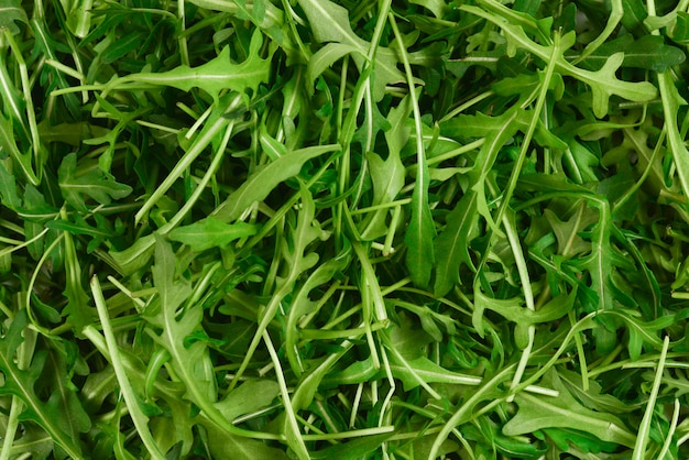 Fresh leaves of arugula as background.