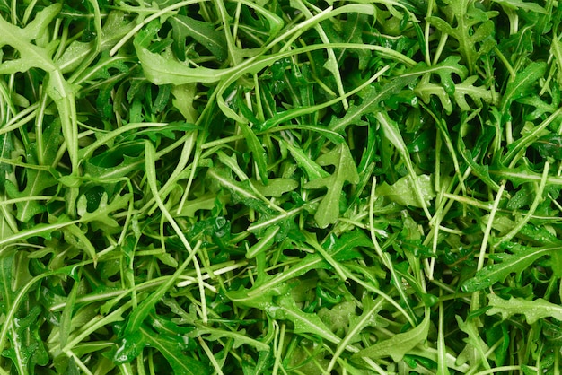 Fresh leaves of arugula as background.