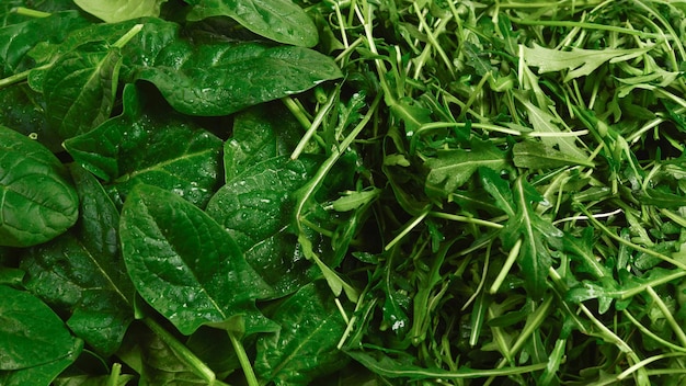 Photo fresh leaves of arugula and spinach as background