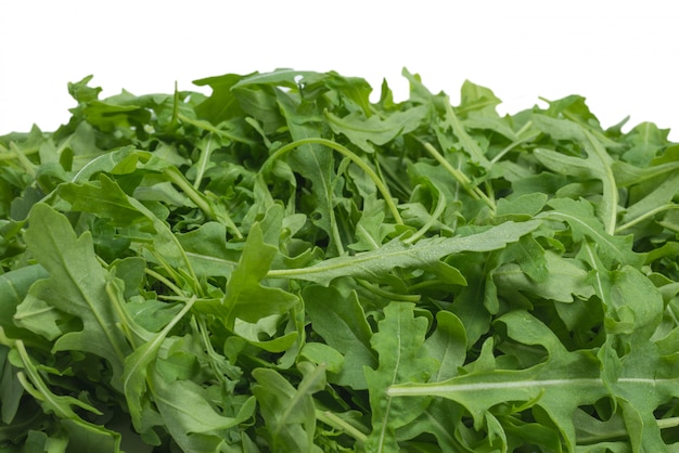 Fresh leaves of arugula.