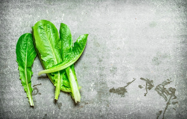 Foglie fresche di verde sul tavolo di pietra