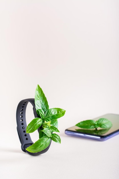 Fresh leaves on the screen of a fitness bracelet and on a smartphone The concept of health care Vertical view