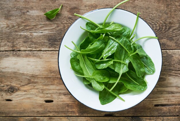 Fresh leaves of sorrel in a bowl