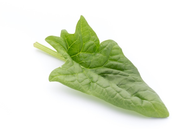 Fresh leaves of spinach isolated