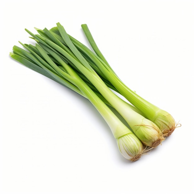 Photo fresh leeks isolated on white background