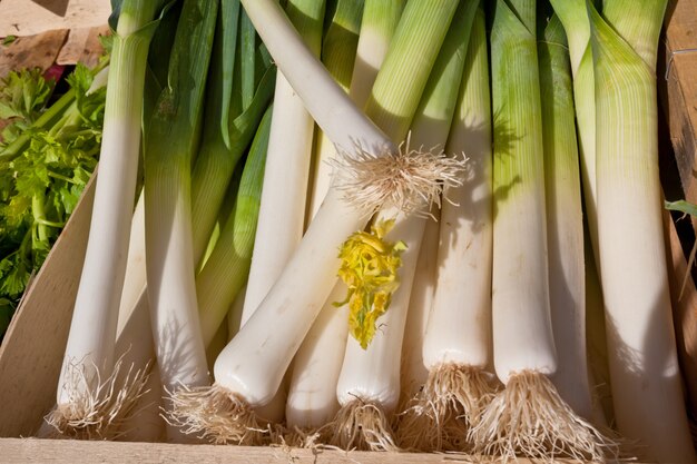 Fresh leeks in a rural farmers market. Horizontal shot