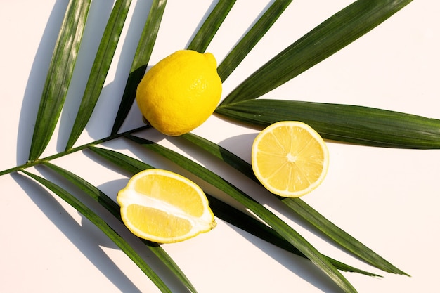 Fresh lemon on tropical palme leaves on white surface. Top view