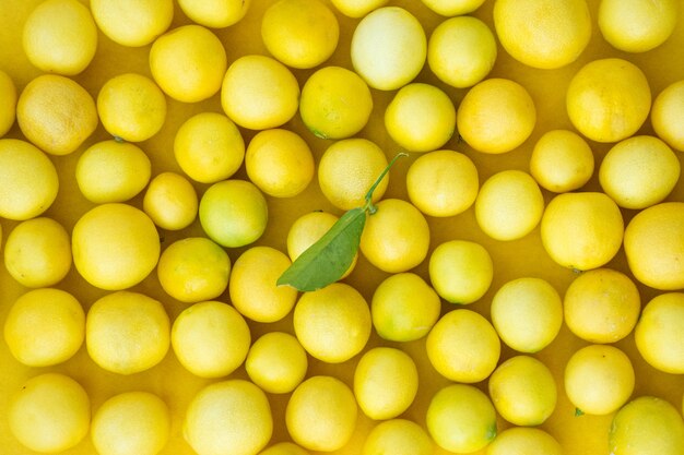 Fresh lemon with leaves