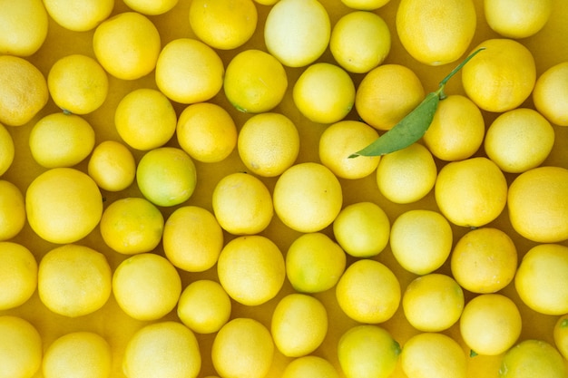 Fresh lemon with leaves