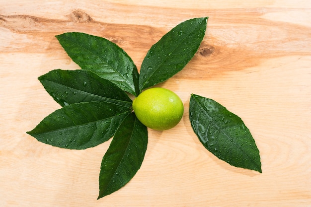 Photo fresh lemon on wooden background