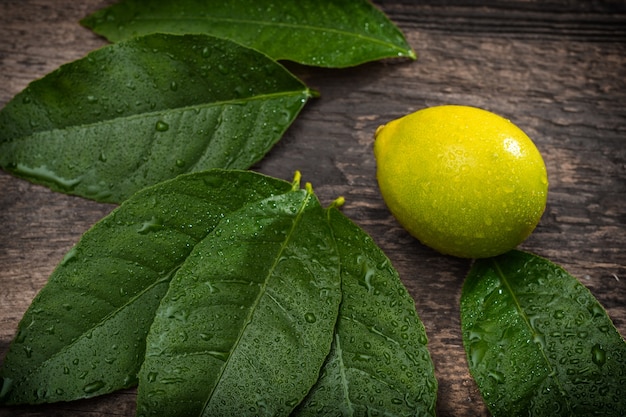 Fresh lemon on wooden background