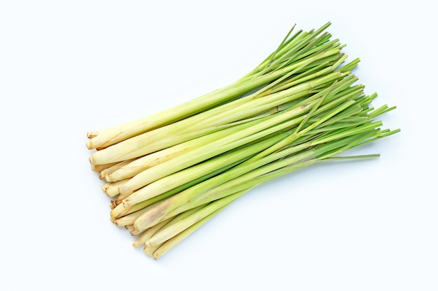 Fresh lemongrass on white background.