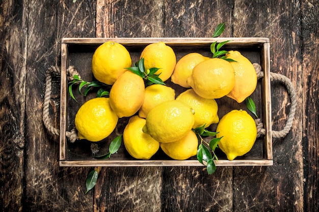 Fresh lemons on an old tray