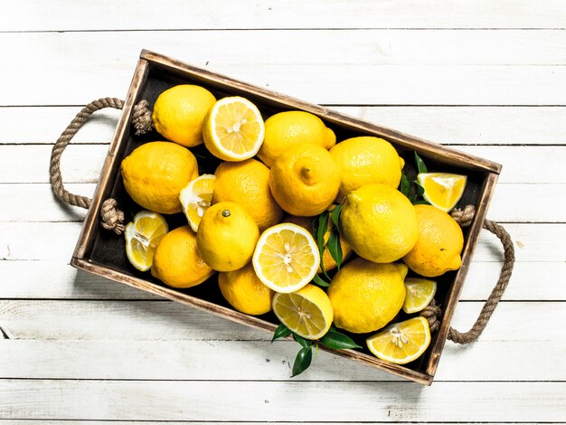 Fresh lemons on a tray.