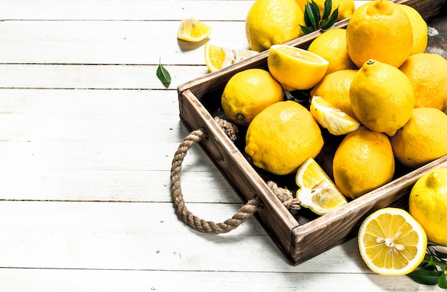 Fresh lemons on a tray.