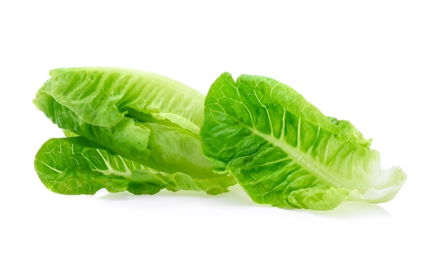 Fresh lettuce (baby cos) on white background