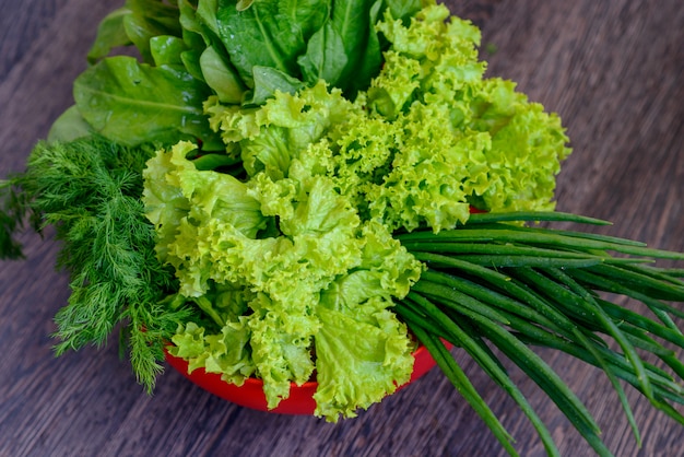 Photo fresh lettuce and dill