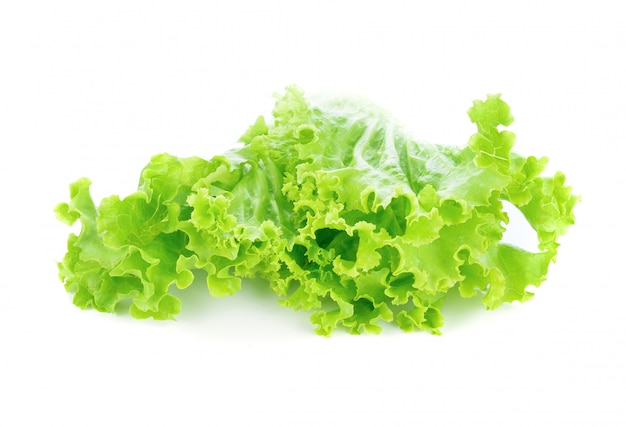 Fresh lettuce isolated on white background